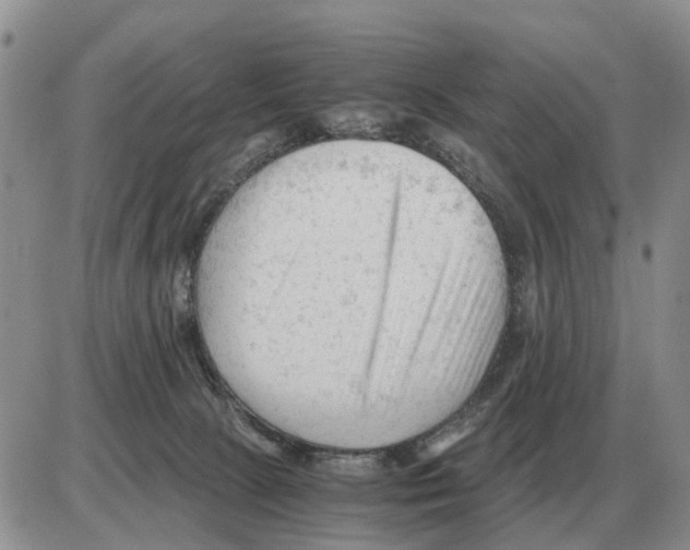 X0000086060081200704202111