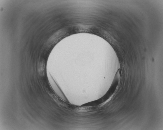 X0000086060082200704202111