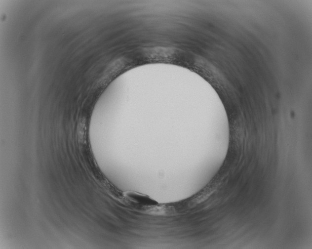 X0000086060083200704202111