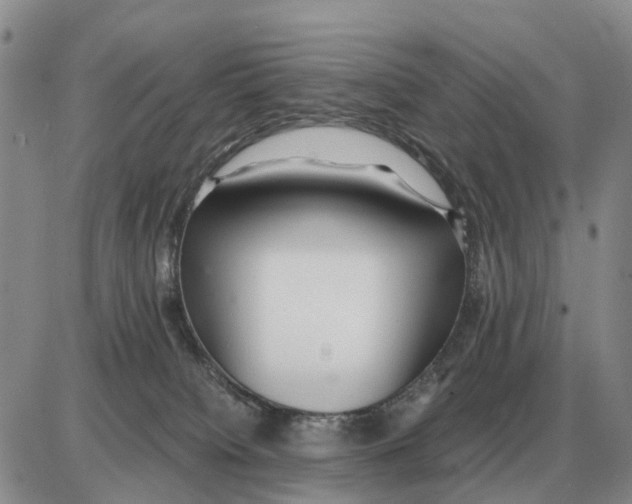 X0000086060084200704202111