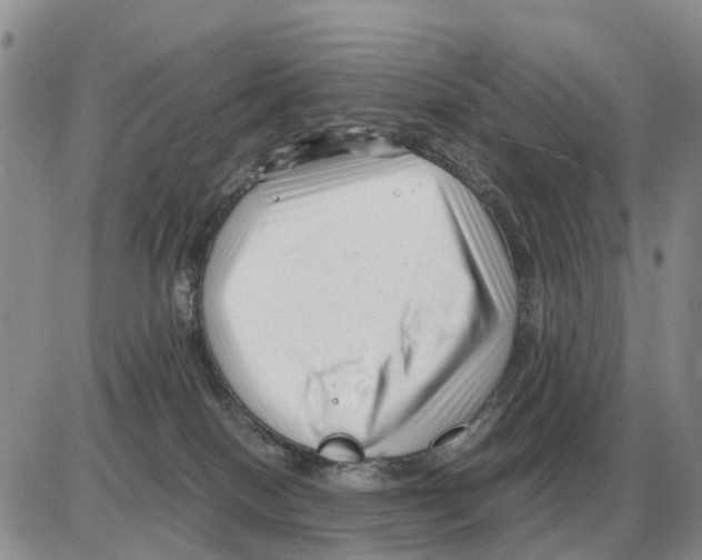 X0000086060086200704202111