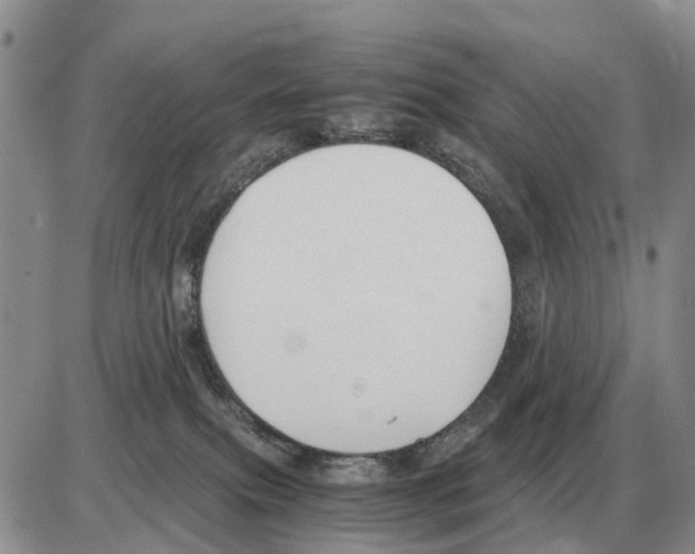 X0000086060087200704202111