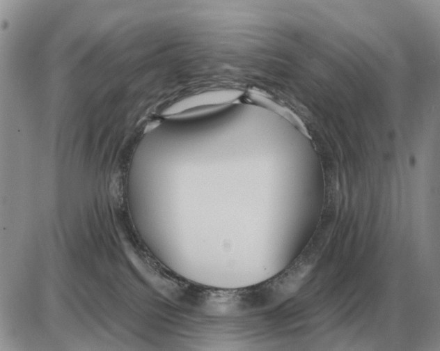 X0000086060088200704202111