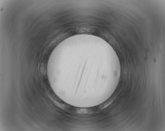 X0000086060091200704202111