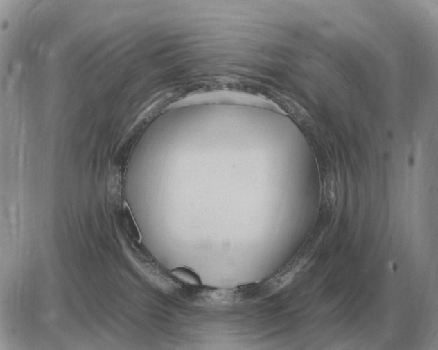 X0000086060092200704202111