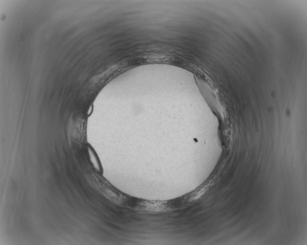 X0000086060093200704202111