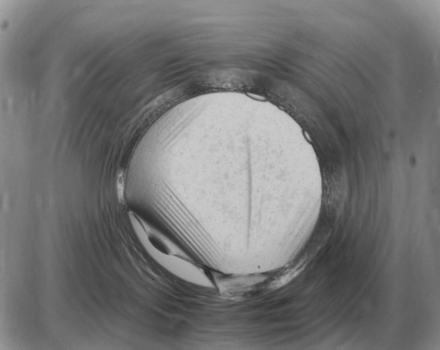 X0000086060095200704202111