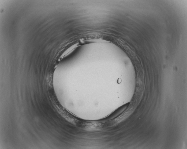 X0000086060096200704202112