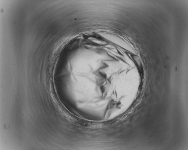 X0000086060097200704202111