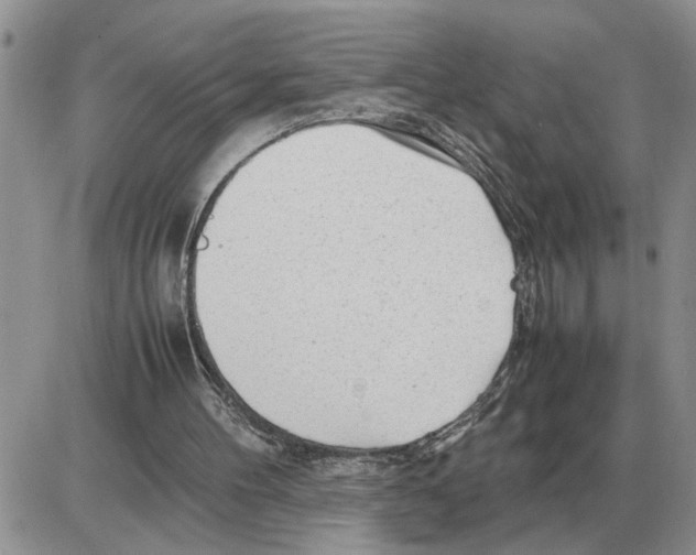 X0000086060100200704202111