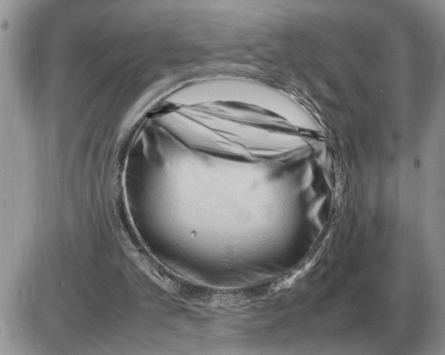 X0000086060101200704202111