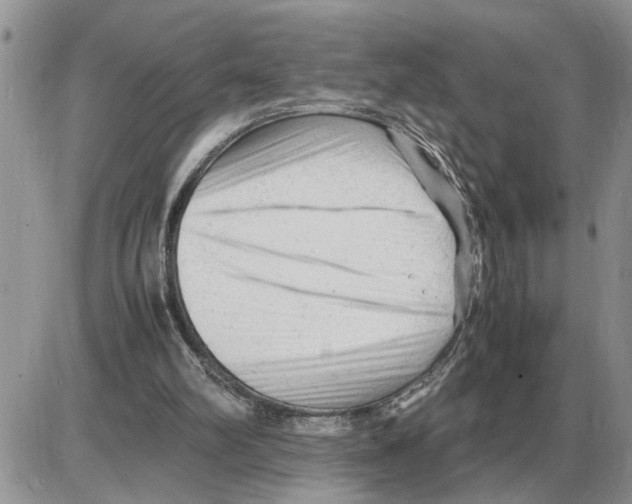 X0000086060102200704202111