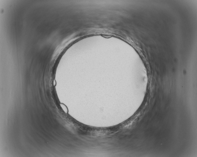 X0000086060103200704202111