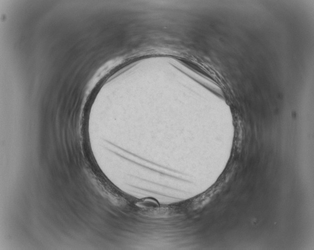 X0000086060104200704202111