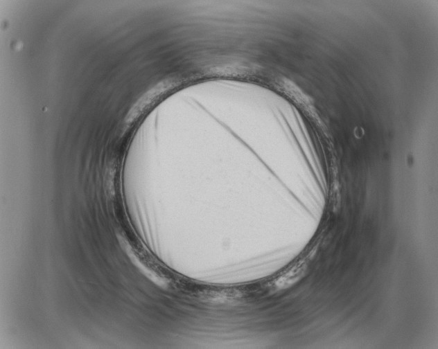 X0000086060106200704202111