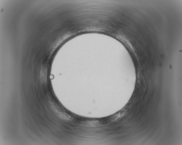 X0000086060108200704202111