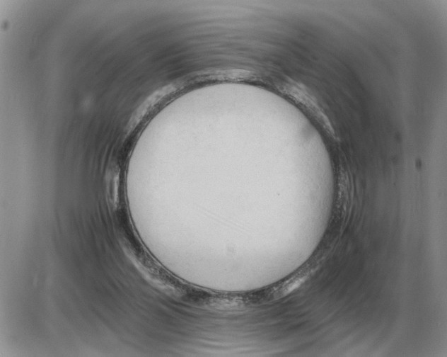 X0000086060110200704202111