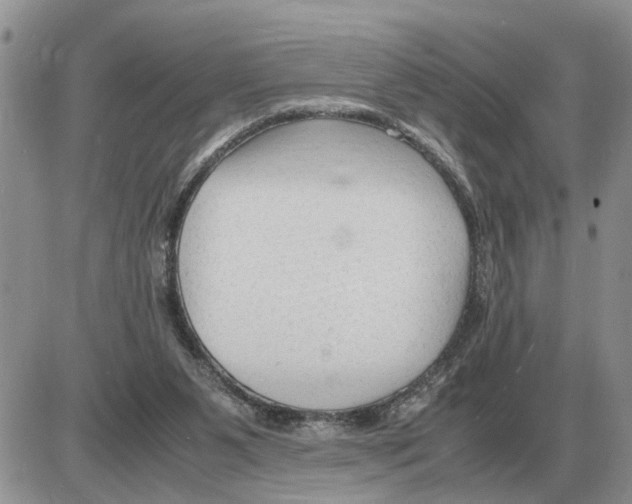 X0000086060111200704202111