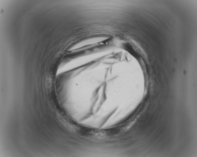 X0000086060113200704202110