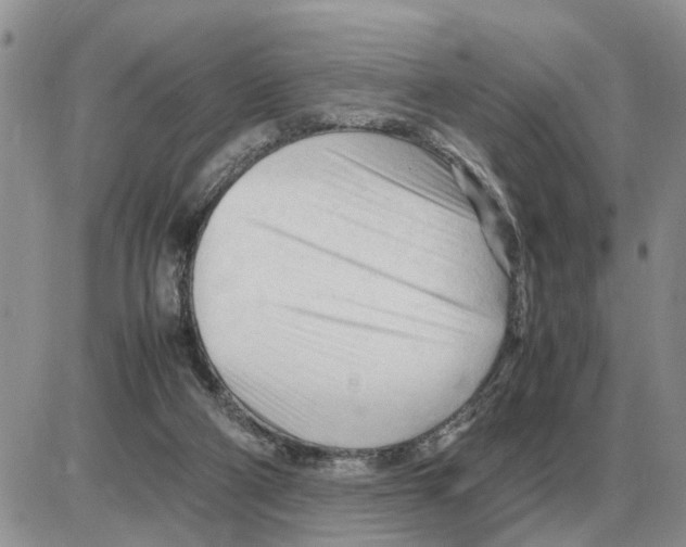 X0000086060114200704202110