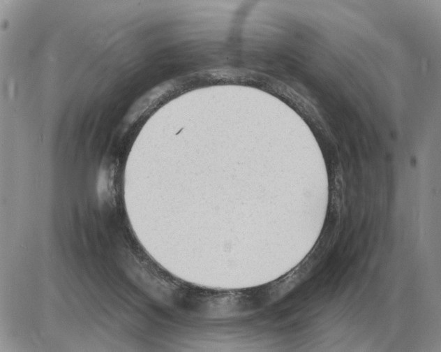 X0000086060116200704202110