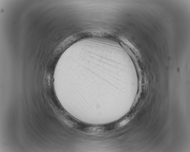 X0000086060117200704202110