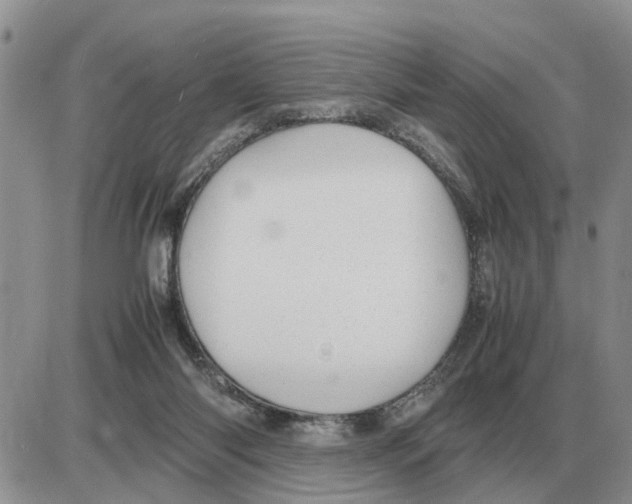 X0000086060118200704202110