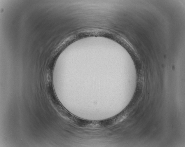 X0000086060119200704202110