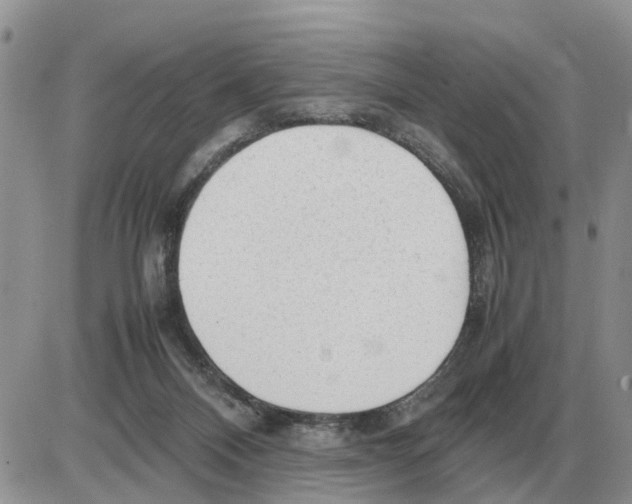 X0000086060120200704202110