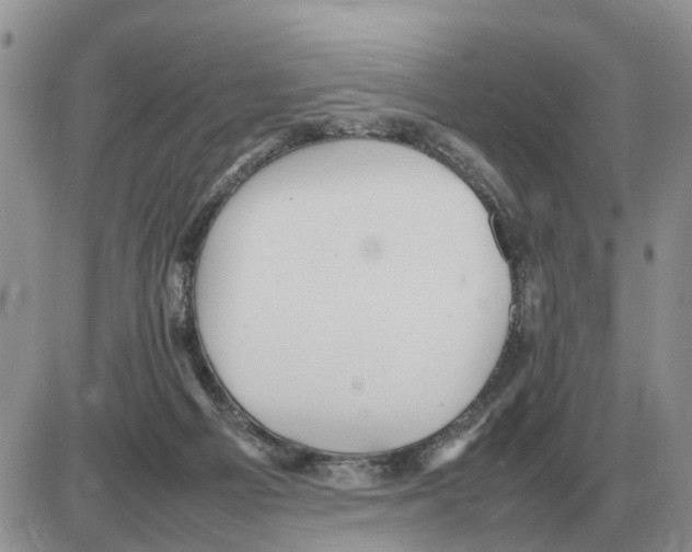 X0000086060121200704202110