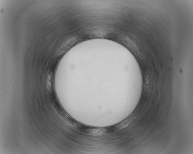 X0000086060122200704202110