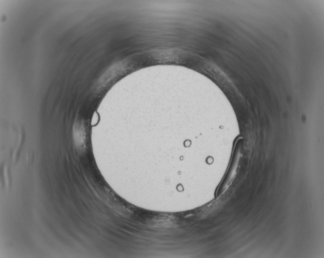 X0000086060124200704202110