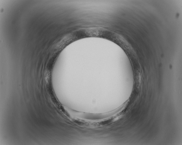 X0000086060125200704202110