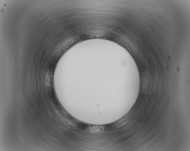 X0000086060126200704202110