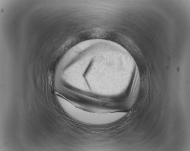 X0000086060127200704202110