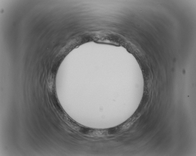 X0000086060129200704202110