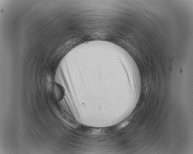 X0000086060130200704202110