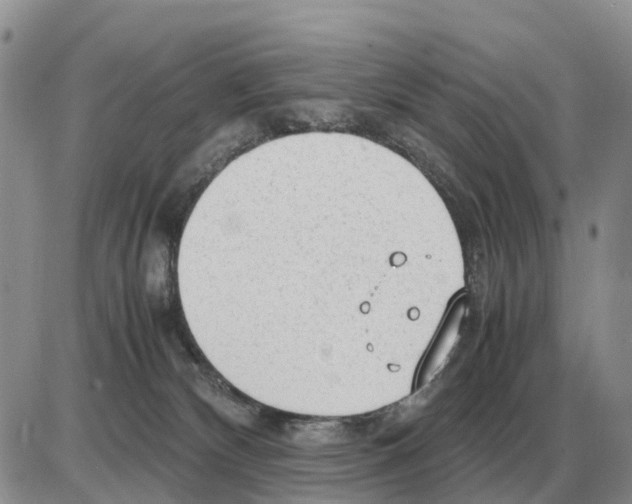 X0000086060132200704202110