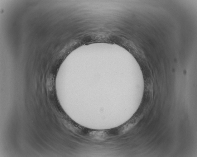 X0000086060133200704202110