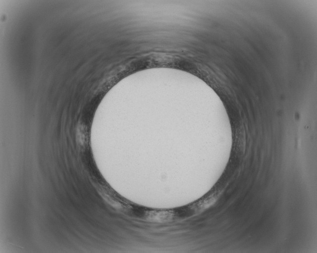 X0000086060135200704202110