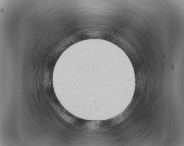 X0000086060136200704202110