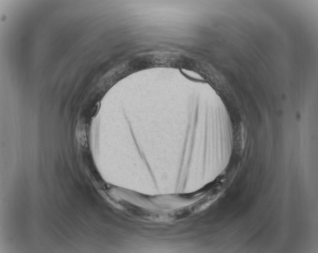 X0000086060137200704202110