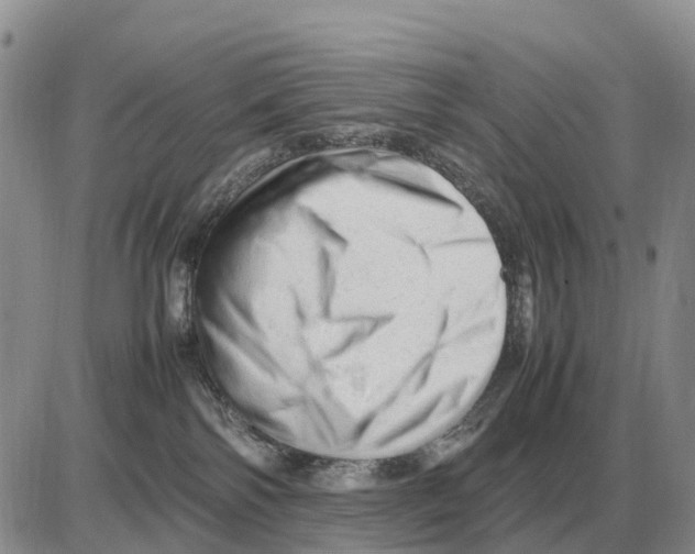 X0000086060138200704202110