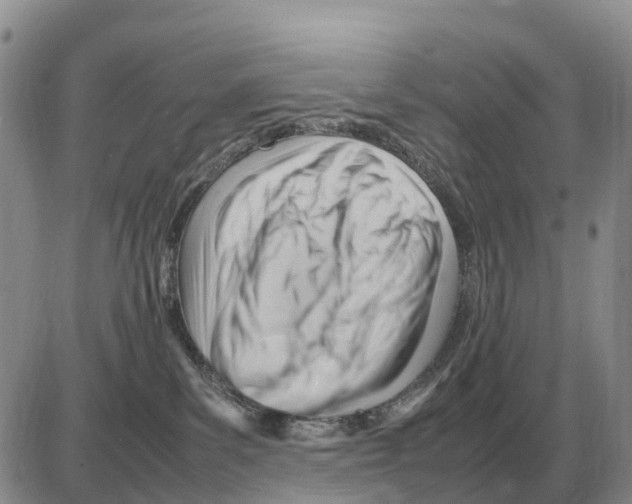 X0000086060139200704202110