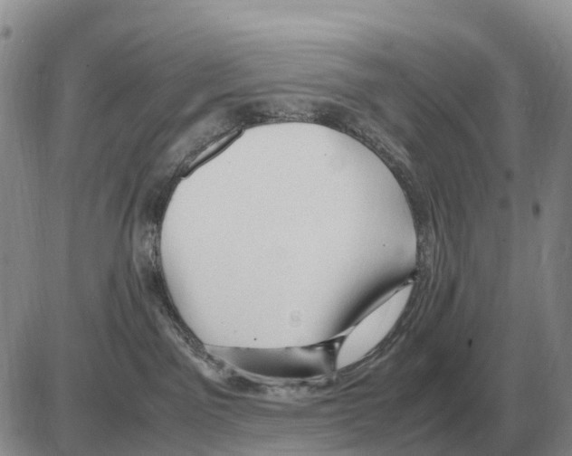 X0000086060141200704202110