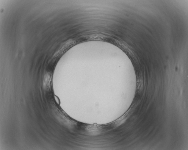 X0000086060142200704202110