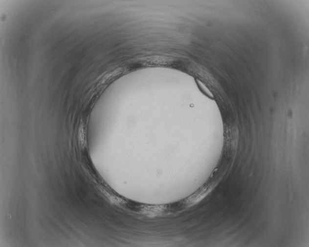 X0000086060143200704202110