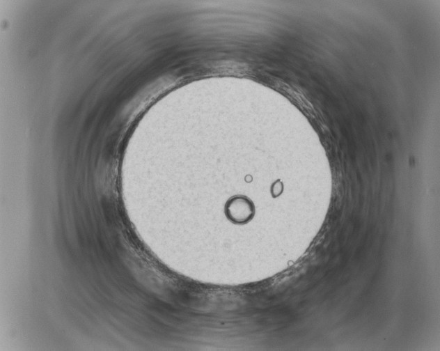 X0000086060146200704202109