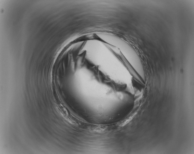 X0000086060148200704202109