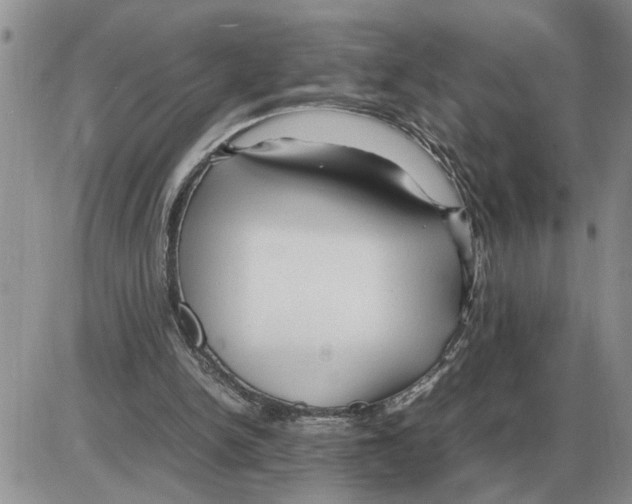 X0000086060150200704202109